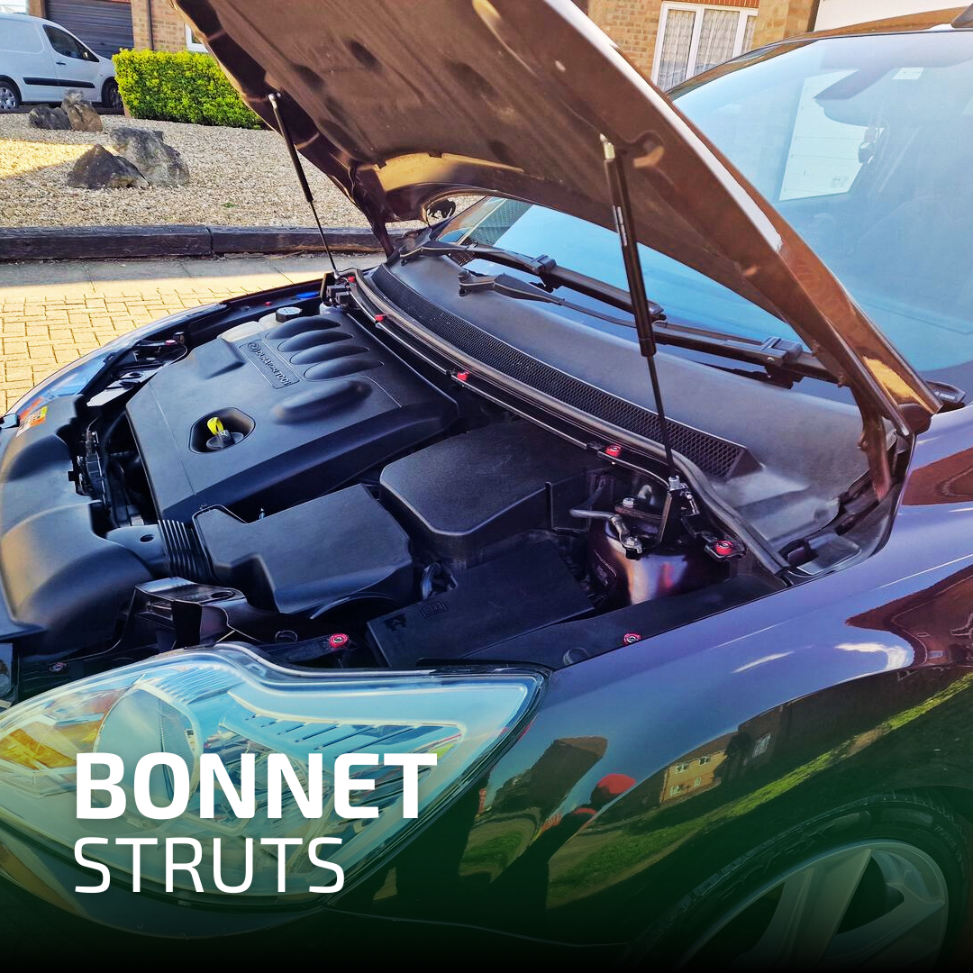 Bonnet Struts