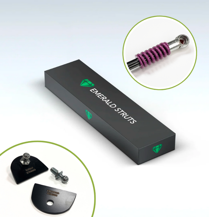 Ford Focus MK2.5 Automatic Boot Struts