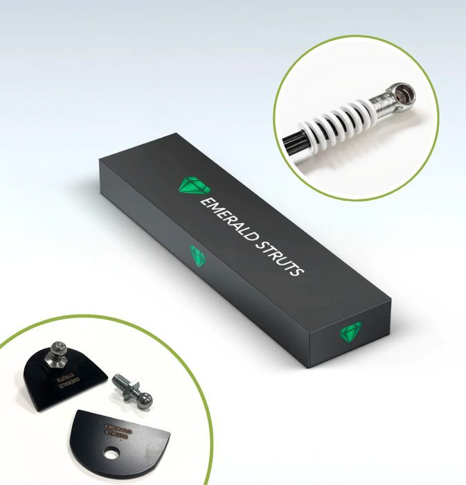 Ford Focus MK2.5 Automatic Boot Struts