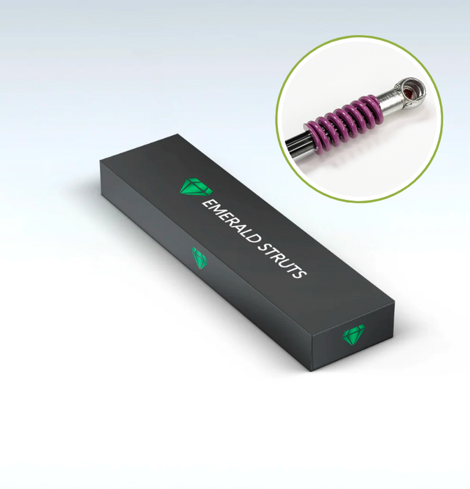 Ford Focus MK2.5 Automatic Boot Struts