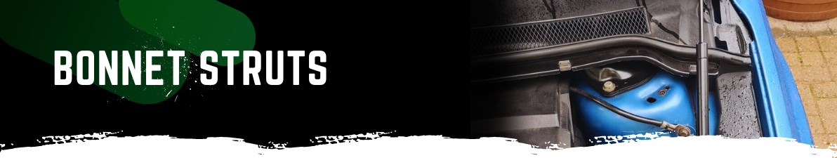 Premium Struts and Accessories - Enhance Your Vehicle's Performance ...
