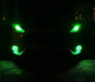 Demon Beam™ Official LED & Bluetooth Colour Changing unit - Car Enhancements UK