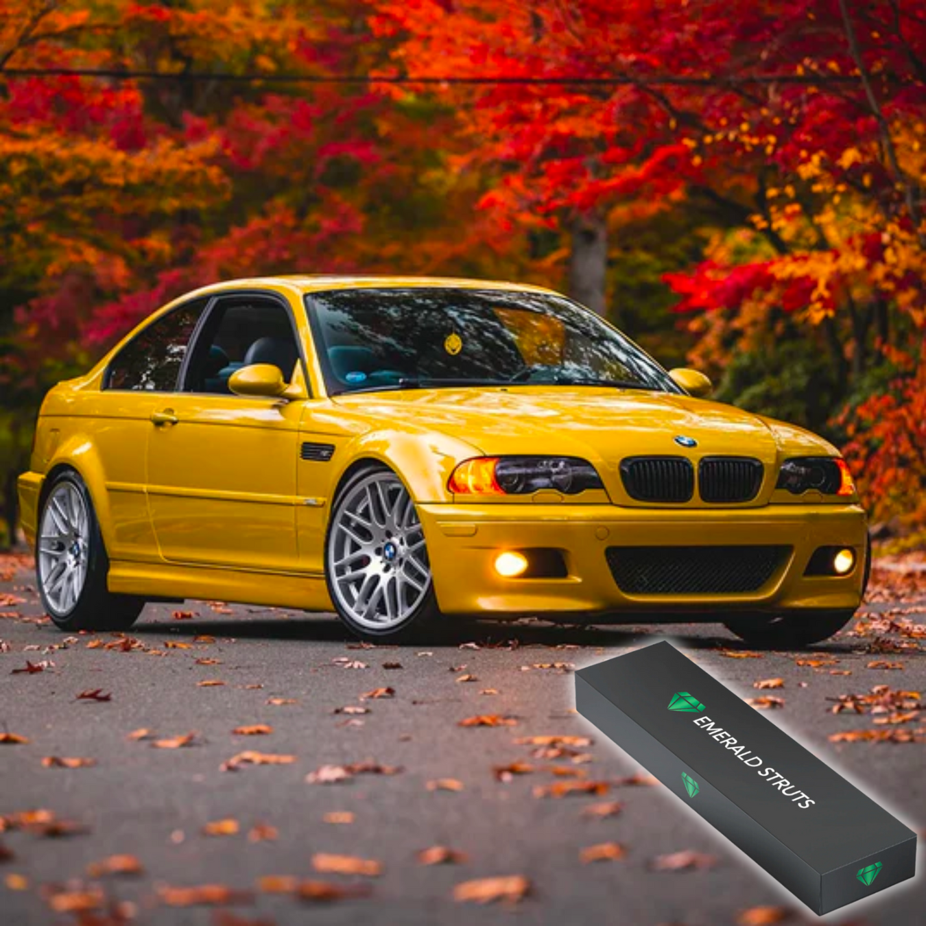 BMW 3 Series E46